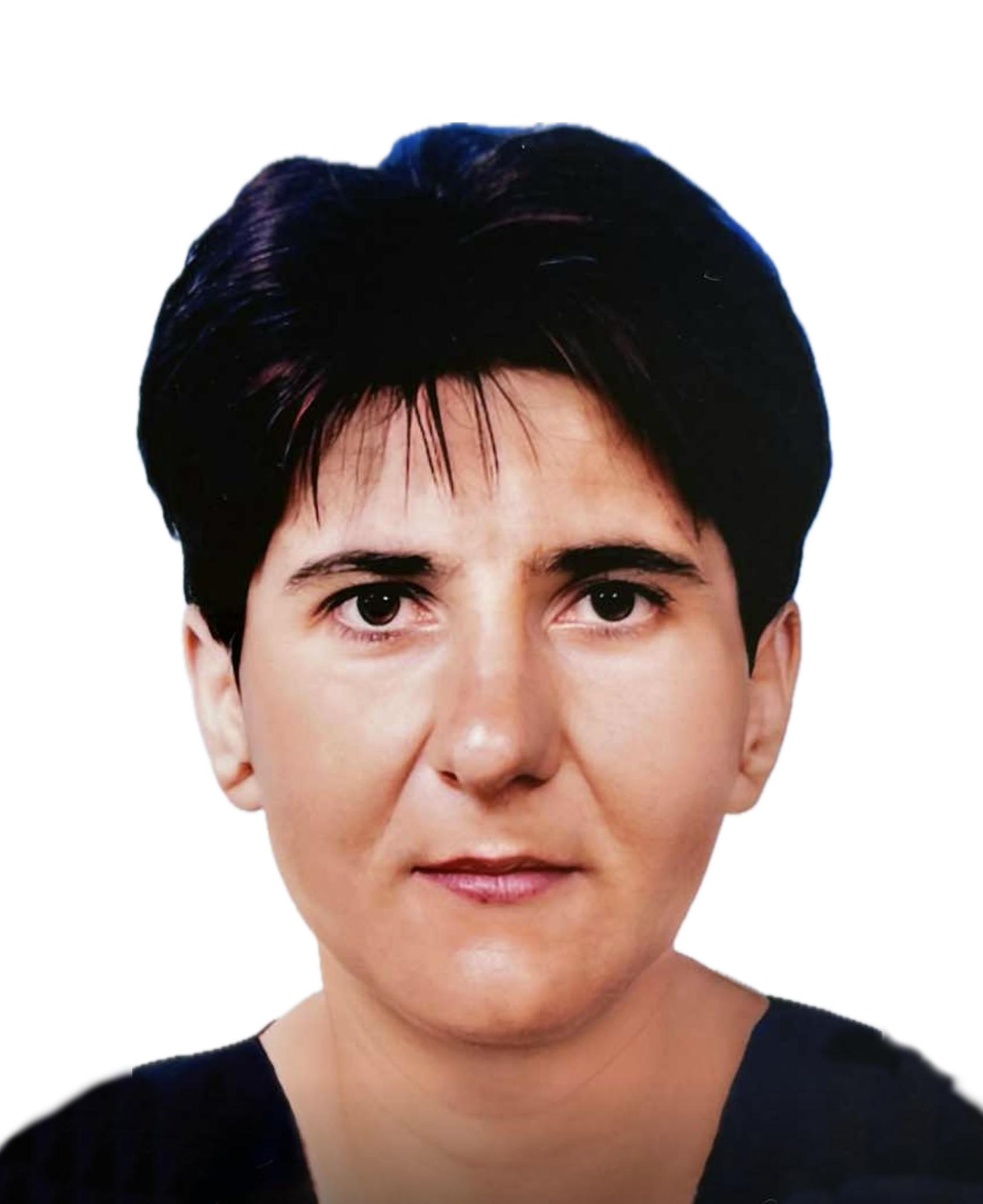 Desa Gogić