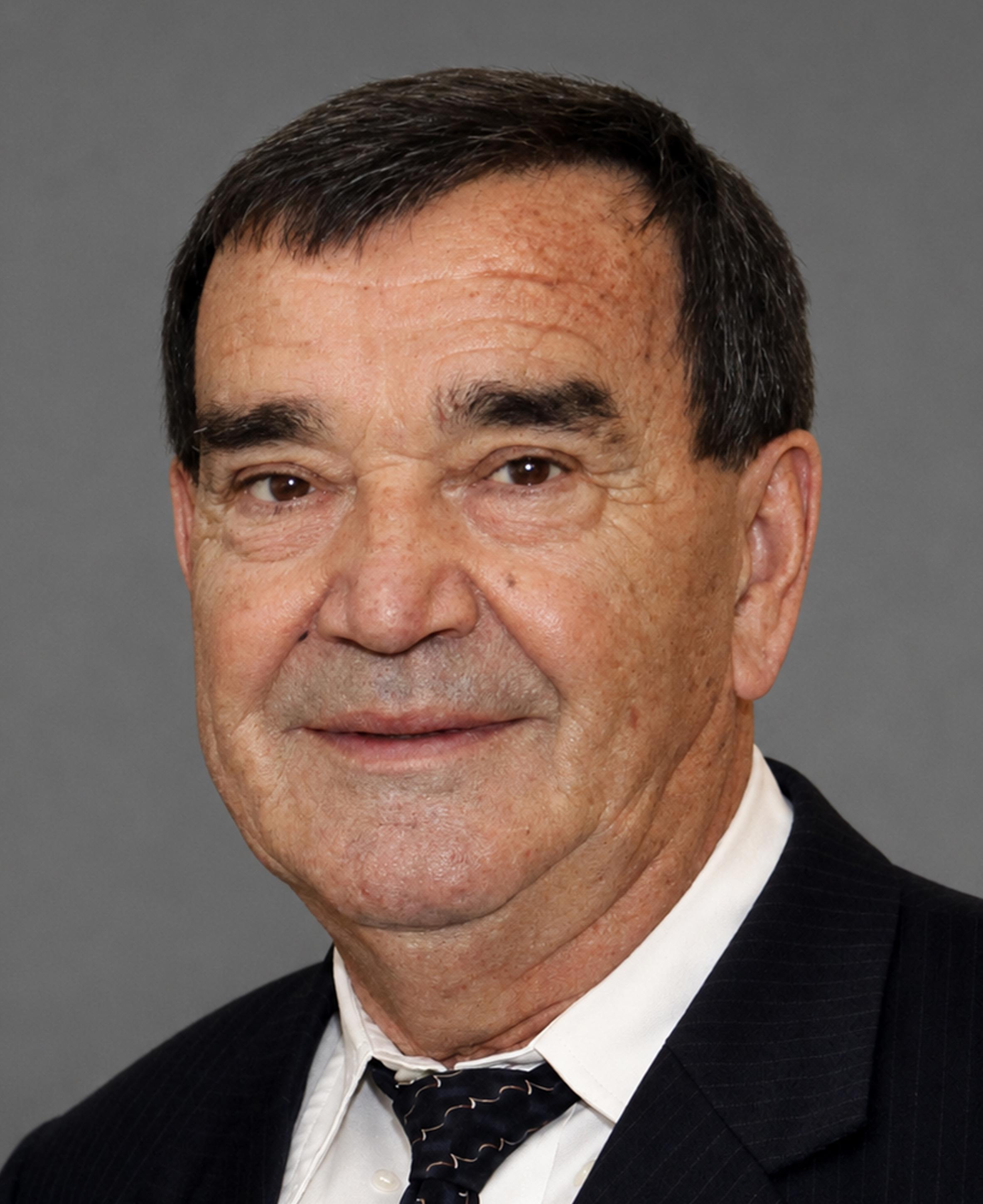 Rajko Kuljanin
